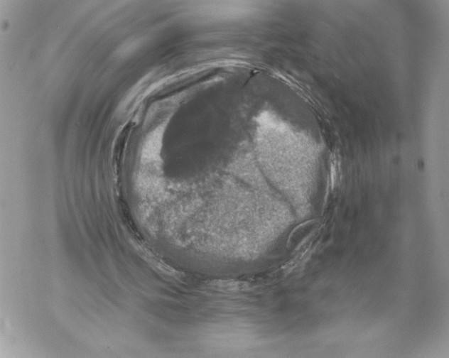 X0000071850339200607290138