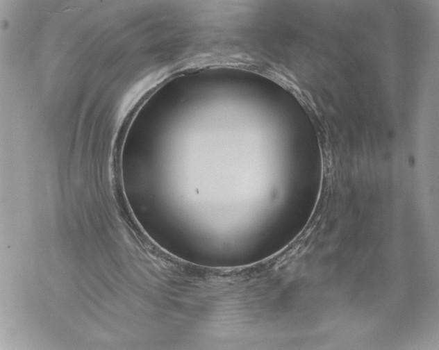 X0000071850340200607290138