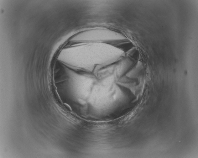 X0000071850342200607290138