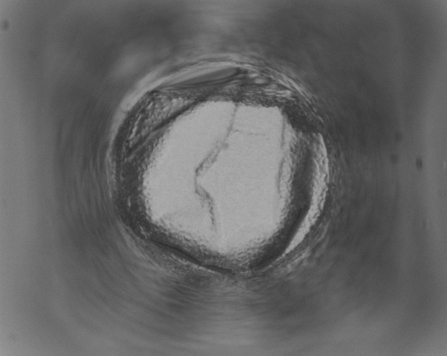 X0000071850343200607290138