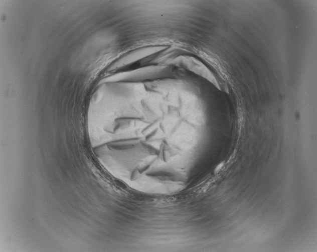 X0000071850345200607290138