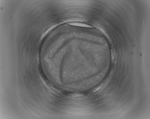 X0000071850348200607290138