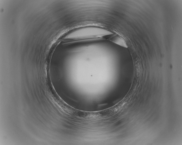 X0000071850350200607290138