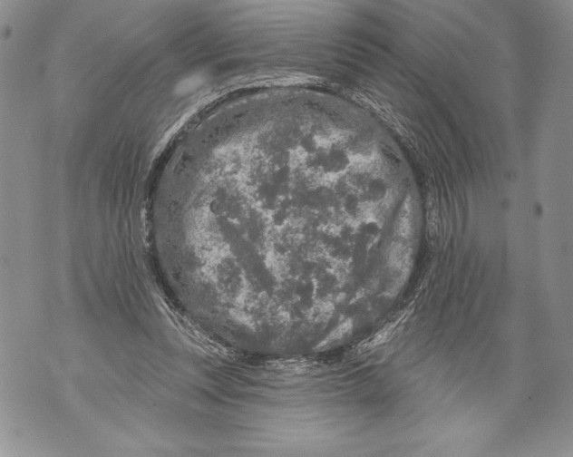 X0000071850351200607290138