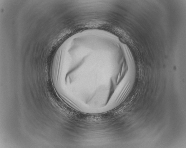 X0000071850354200607290138