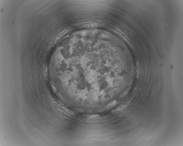 X0000071850355200607290138