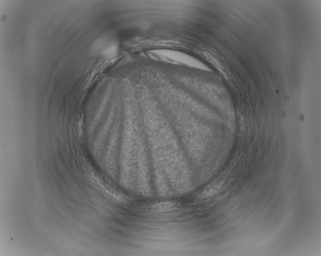 X0000071850357200607290138