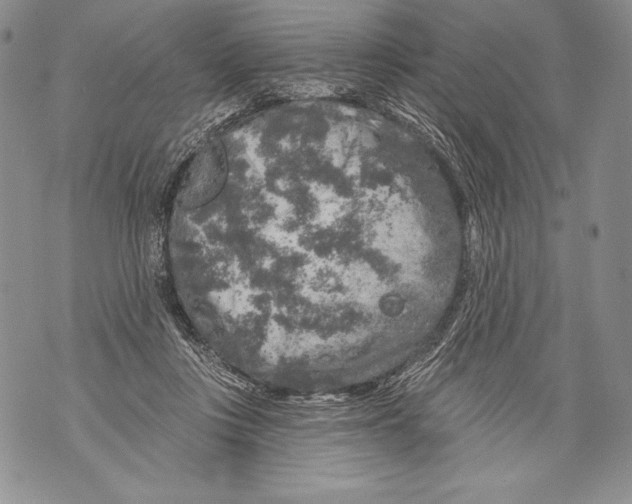 X0000071850359200607290138