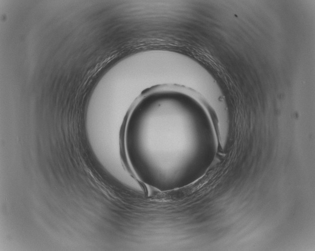 X0000071850360200607290138