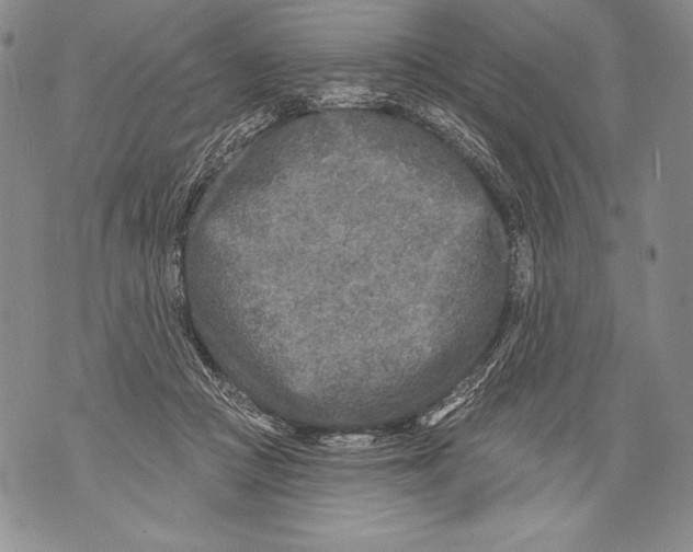 X0000071850361200607290138