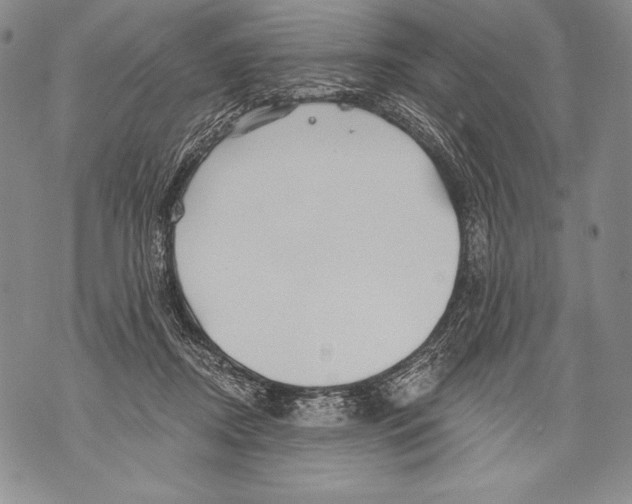 X0000071850362200607290138