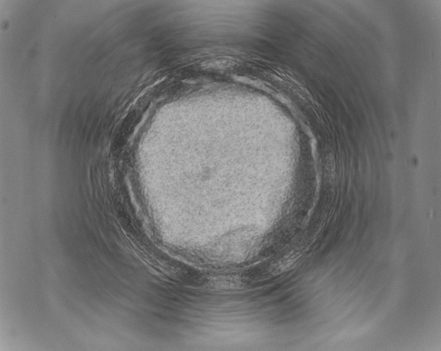 X0000071850363200607290138