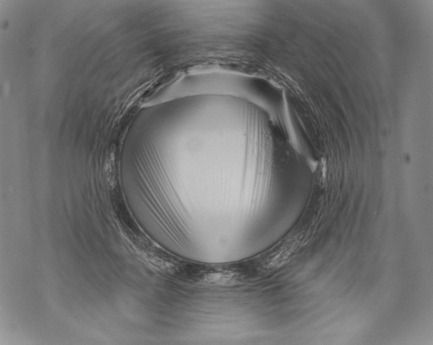 X0000071850364200607290138