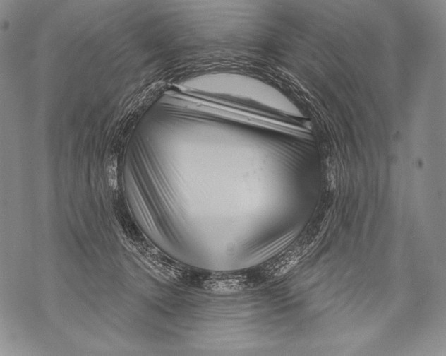 X0000071850368200607290138