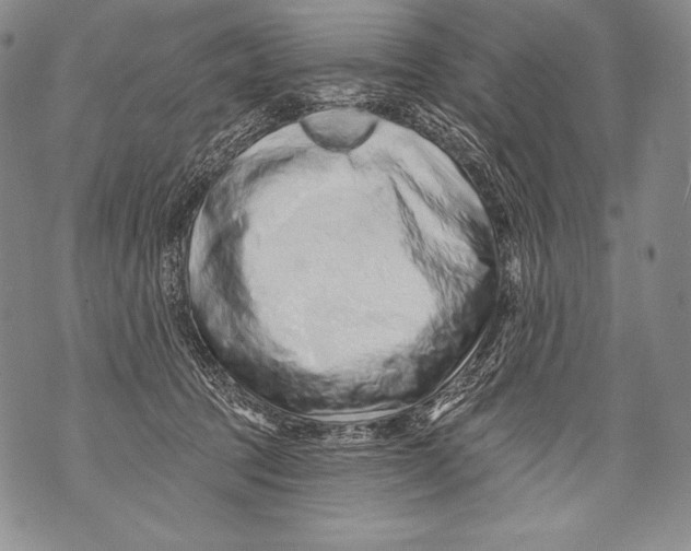 X0000071850369200607290138