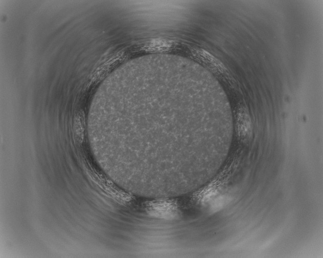 X0000071850370200607290138