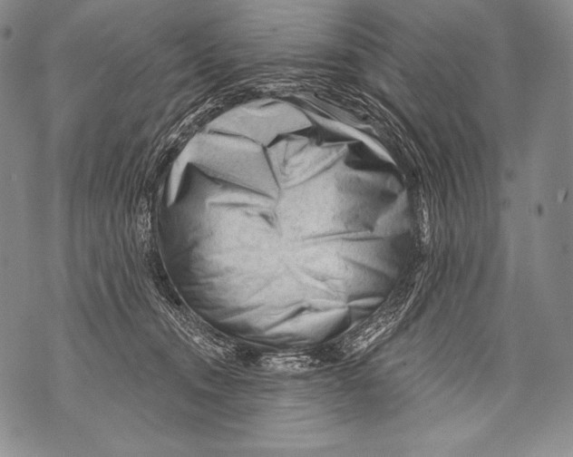 X0000071850372200607290138