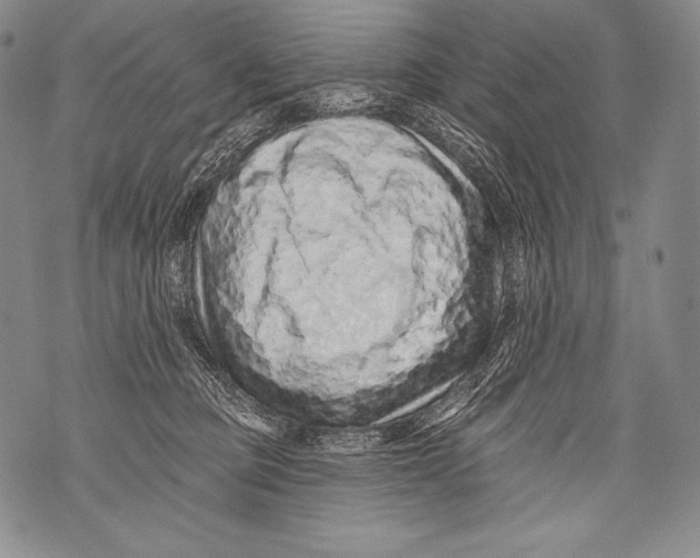 X0000071850373200607290138