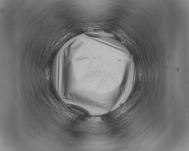 X0000071850374200607290138