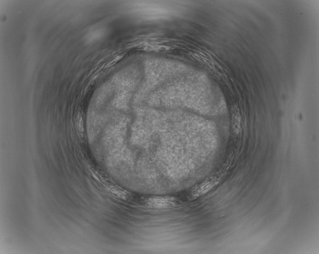 X0000071850375200607290138