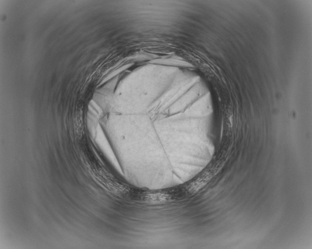 X0000071850376200607290138