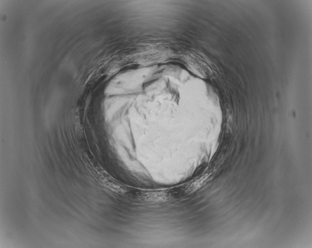 X0000071850377200607290138