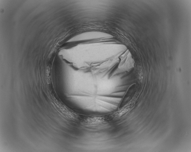 X0000071850378200607290138