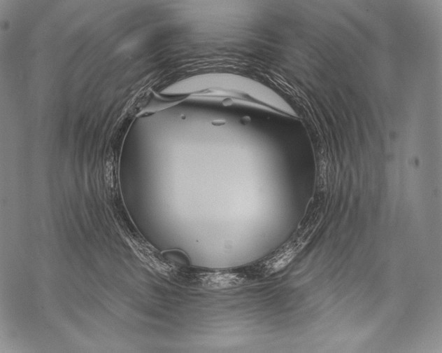 X0000071850379200607290138