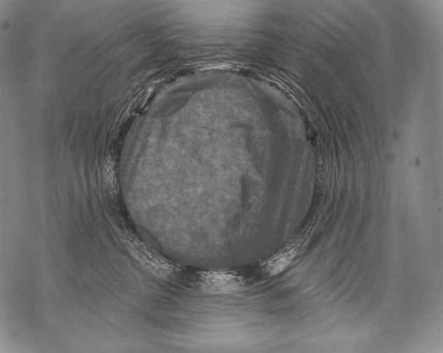 X0000071850380200607290138