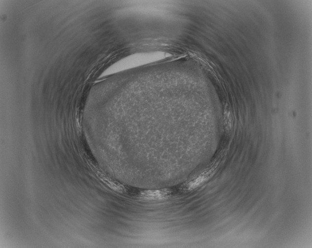 X0000071850381200607290138