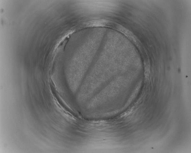 X0000071850386200607290138