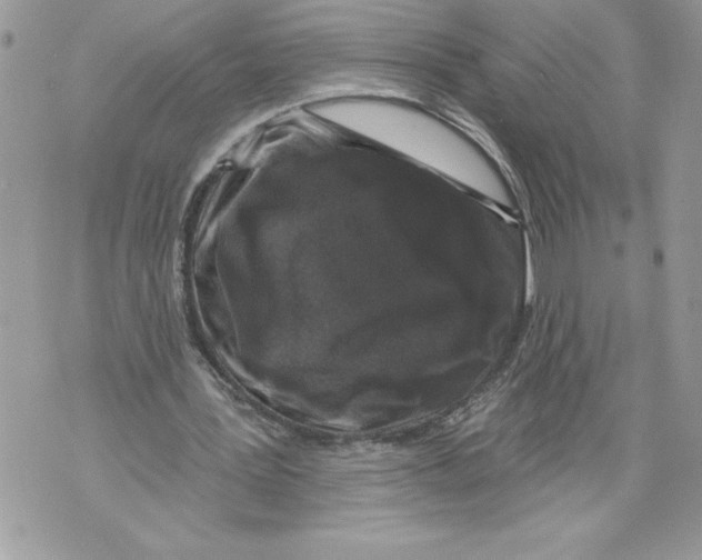 X0000071850387200607290138