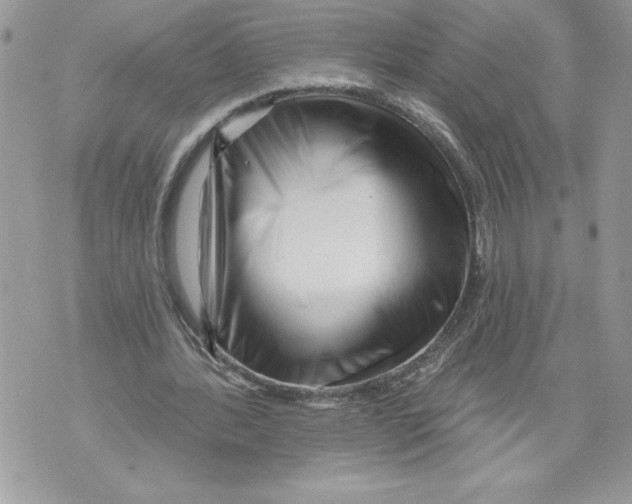 X0000071850388200607290138