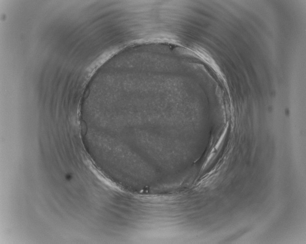 X0000071850389200607290138