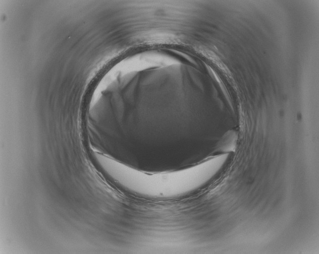 X0000071850391200607290138