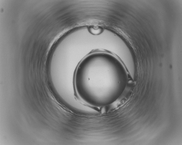 X0000071850392200607290138