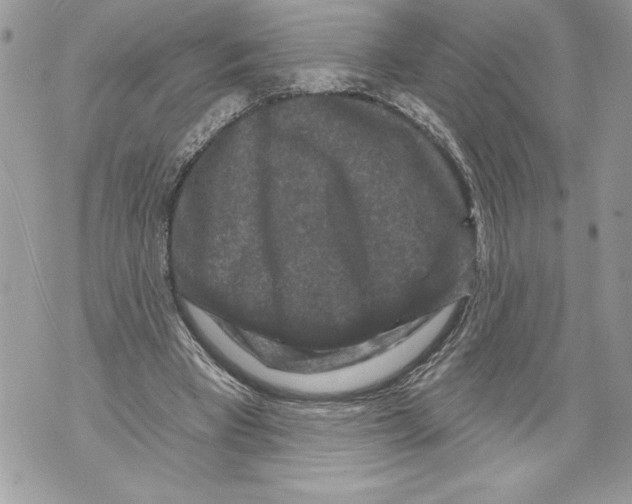 X0000071850393200607290138