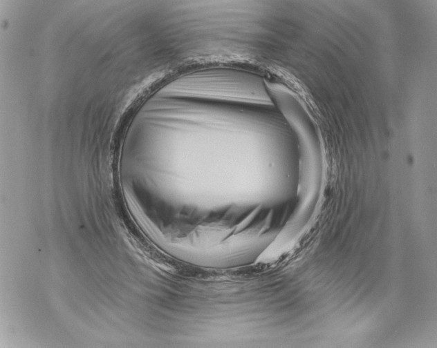 X0000071850395200607290138