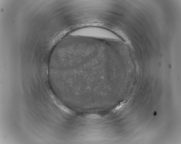 X0000071850397200607290137