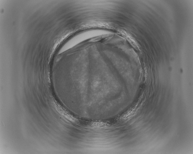 X0000071850399200607290137