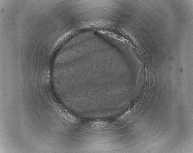 X0000071850400200607290137