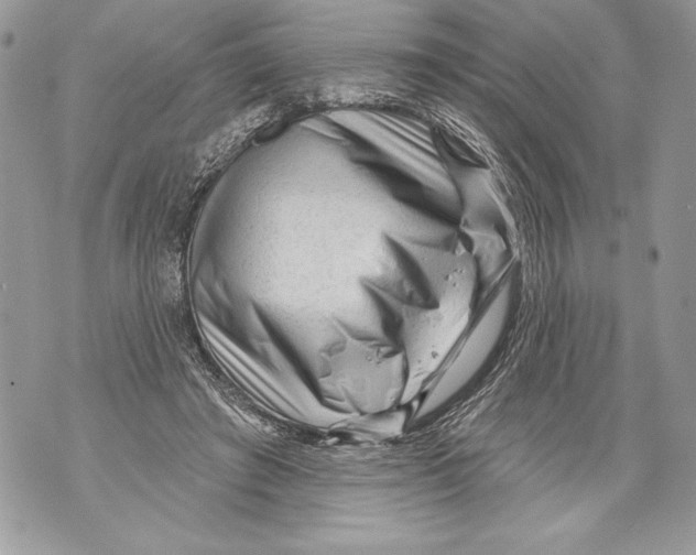 X0000071850401200607290137