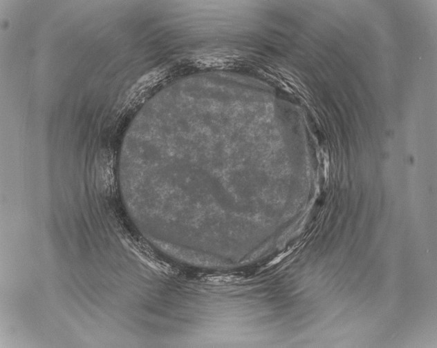 X0000071850408200607290137