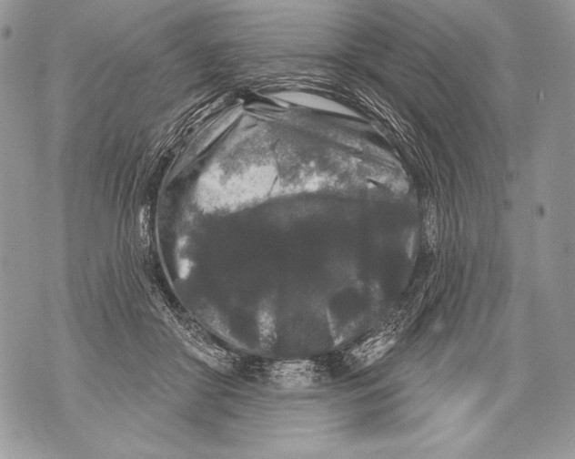 X0000071850410200607290137