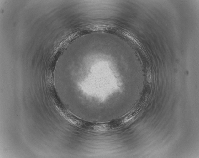 X0000071850411200607290137