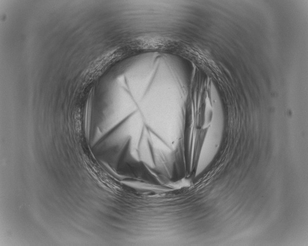 X0000071850413200607290137