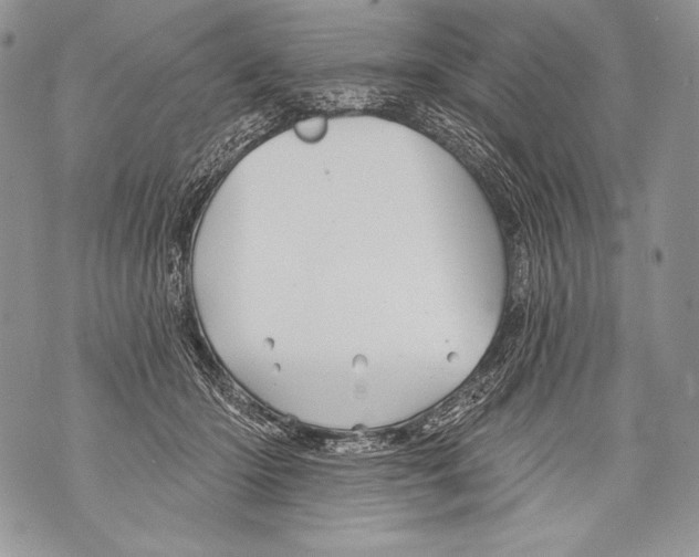 X0000071850414200607290137