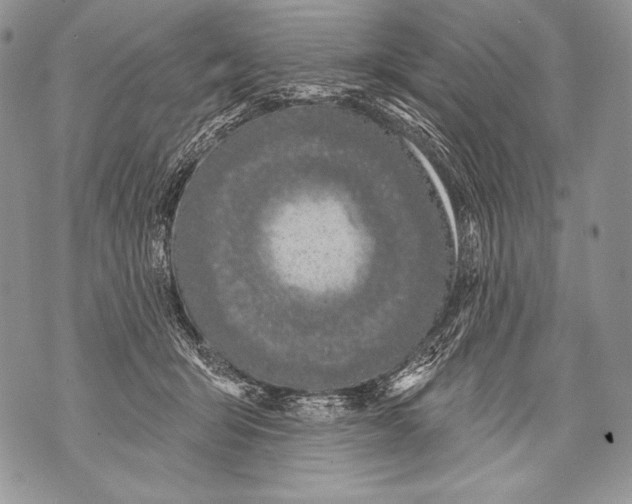 X0000071850415200607290137