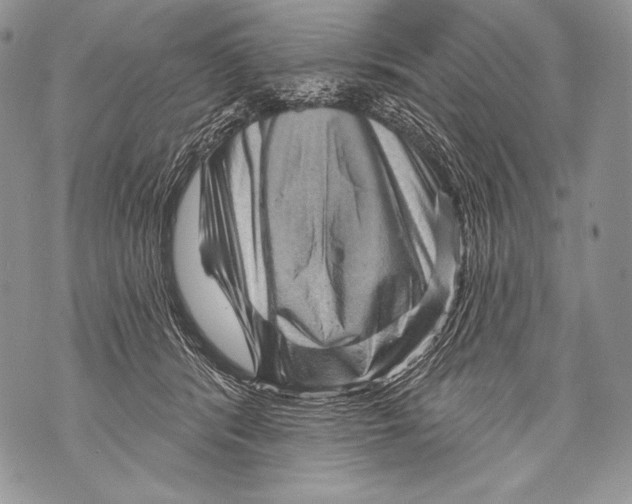 X0000071850416200607290137