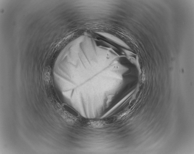 X0000071850417200607290137